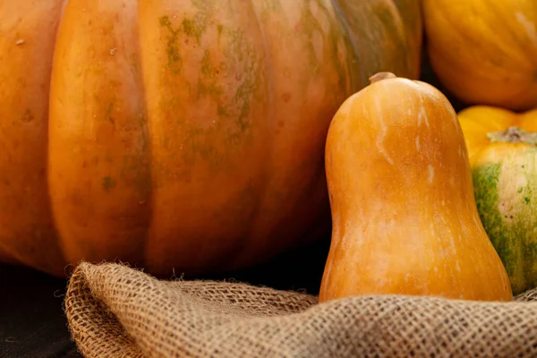 Fondo de una gran cantidad de calabazas de colores —  Fotos de Stock