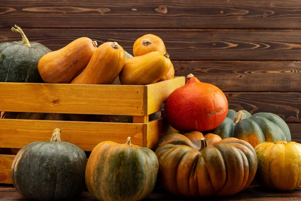 Montón de calabazas en una caja de madera —  Fotos de Stock