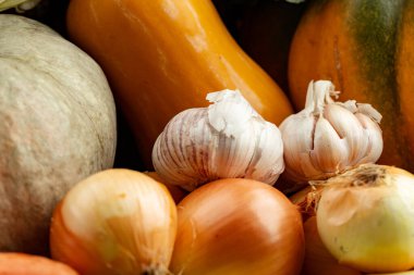 Yığılmış sebze, balkabağı, soğan ve sarımsak yakın plan