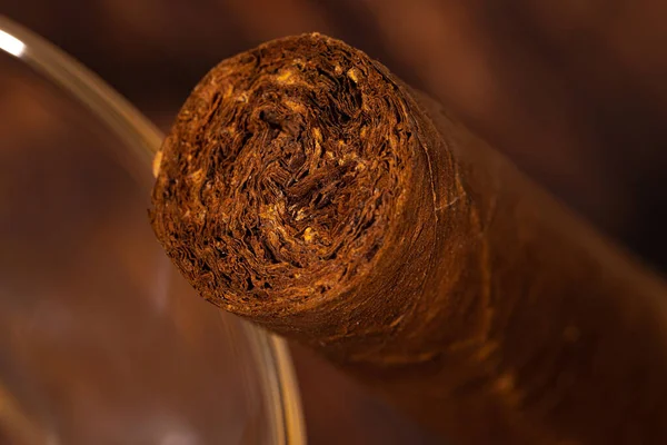 Close up photo of luxury cut cigar — Stock Photo, Image