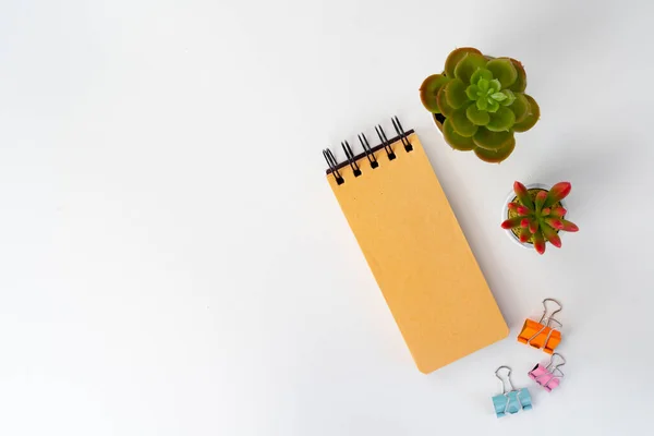 Espacio de trabajo minimalista con cuaderno y planta suculenta — Foto de Stock