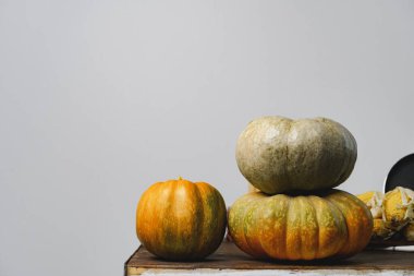 Gri duvara karşı mutfak masasında balkabakları