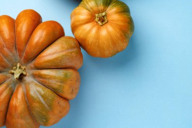 Mavi pastel arkaplan görünümlü küçük balkabakları