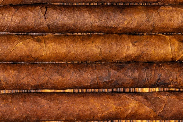 木制底座上一排卷起的雪茄 — 图库照片