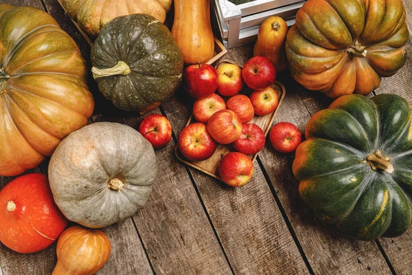 Kürbisse und rote Äpfel auf Holzgrund — Stockfoto