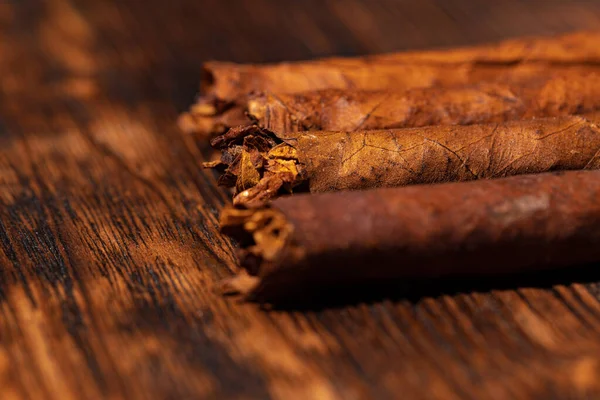 Set of cigars on wooden background close up — Stock Photo, Image