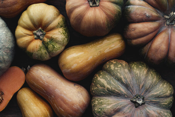 Toned autumn background with pile of pumpkins