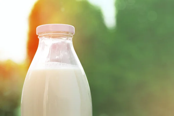 Yeşil yaprakların arka planında bir şişe süt — Stok fotoğraf