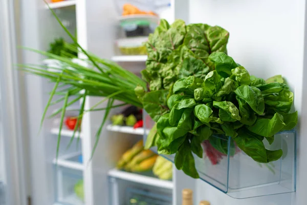 Salade verte fraîche sur une étagère de réfrigérateur — Photo