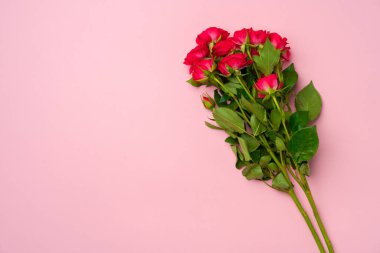 Pembe arka planda gül buketi