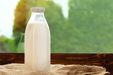 Yeşil yaprakların arka planında bir şişe süt