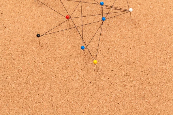 Pini conectați la crearea unei rețele — Fotografie, imagine de stoc