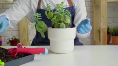 Eldivenli kadın ve önlüklü saksı fabrikası. Yakın plan.