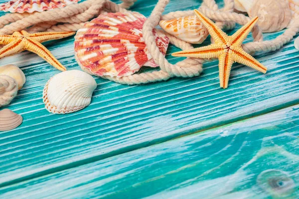 Diferentes conchas marinas sobre fondo de madera de color — Foto de Stock