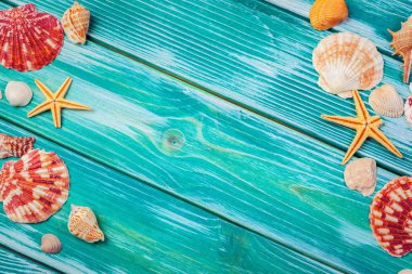 Renkli ahşap zemin üzerinde farklı deniz kabukları