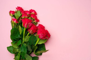 Pembe arka planda gül buketi