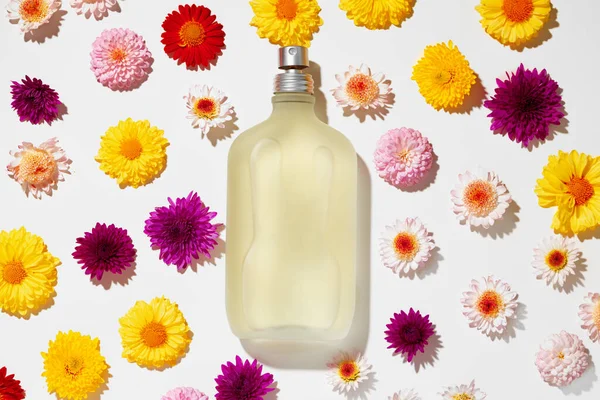 Parfum fles voor vrouwen in bloemknoppen — Stockfoto