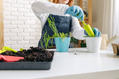 Bayan bahçıvan bitkileriyle içeride ilgileniyor.