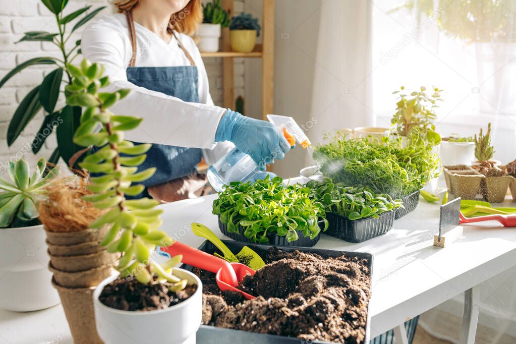 Female gardener caring for her plants indoors