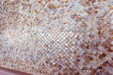 Balık ölçekli duvar arkaplanı kapat