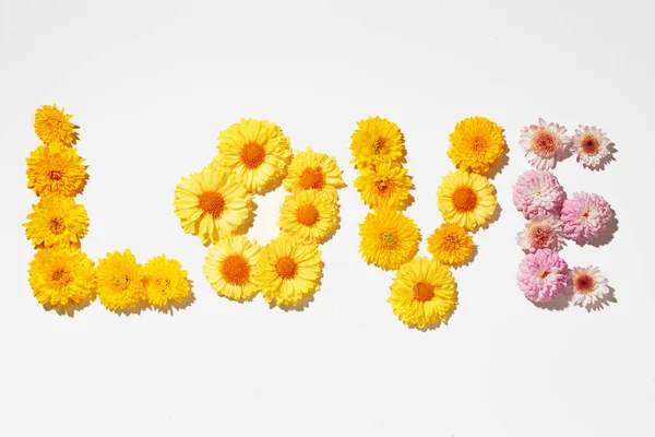 Palabra amor poner fuera de capullos de flores sobre fondo gris — Foto de Stock