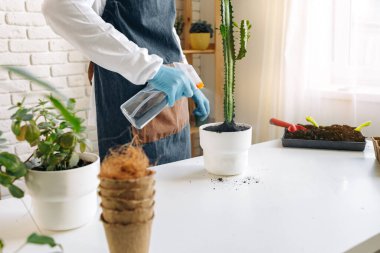 Tanımlanamayan kadın ev bitkisini yakından naklediyor..