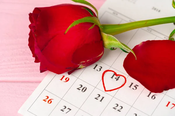 분홍색 나무 탁자 위에 붉은 장미가 그려진 2 월 달력 페이지 — 스톡 사진