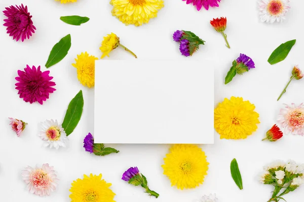 Papel em branco com espaço de cópia e botões de flores — Fotografia de Stock