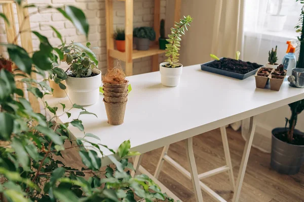 Meja berkebun dengan tanaman dan pot bunga kosong — Stok Foto
