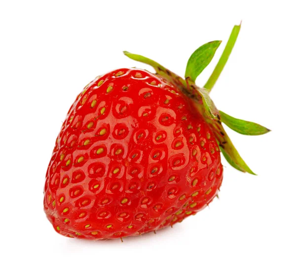 Rote Beere Erdbeere isoliert auf weißem Hintergrund. — Stockfoto