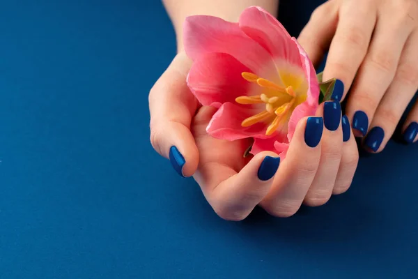 Manos de mujer con manicura sosteniendo tulipanes coloridos — Foto de Stock