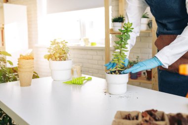 Tanımlanamayan kadın ev bitkisini yakından naklediyor..