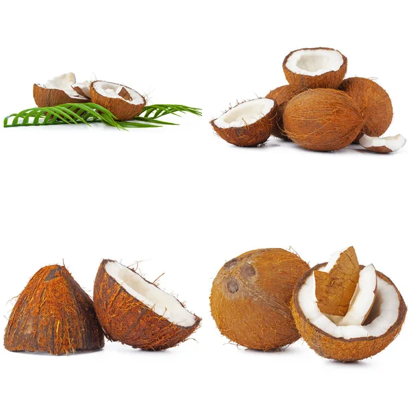 Collage van gebroken kokosstukjes geïsoleerd op witte achtergrond — Stockfoto