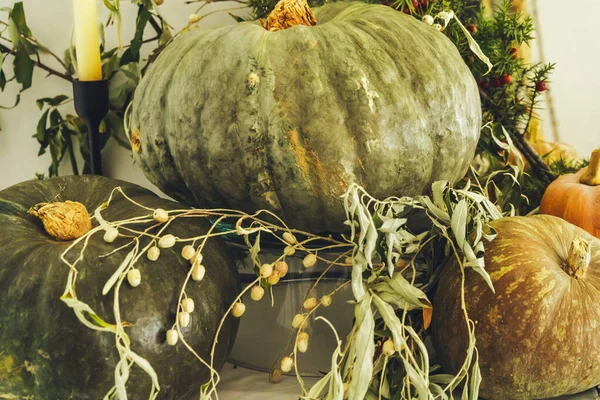Bonita decoração de mesa de outono com abóbora verde — Fotografia de Stock