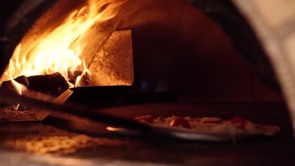 Pizzát sütnek egy fatüzelésű kőkemencében — Stock videók