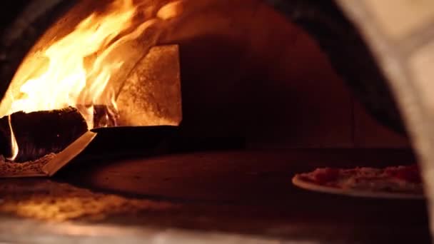 Pizza cuite dans un four en pierre au feu de bois — Video