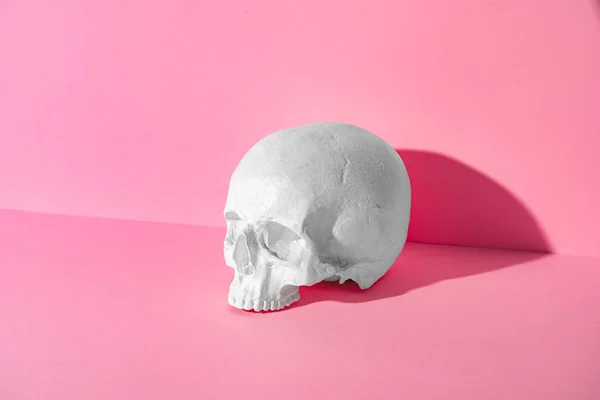 Modelo de um scull humano em fundo rosa — Fotografia de Stock