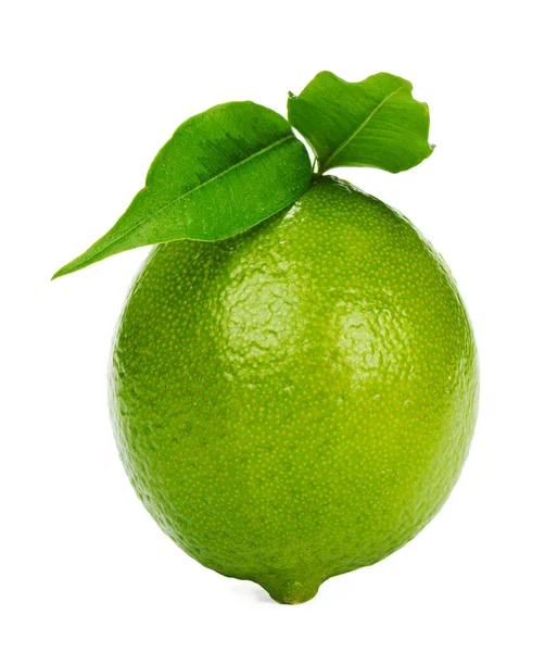 Lime citrus frukt isolerad på vit bakgrund — Stockfoto