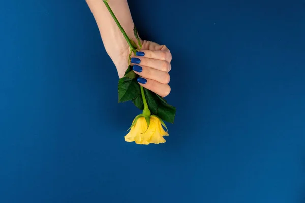 Hermosas manos de mujer con manicura sosteniendo rosas — Foto de Stock