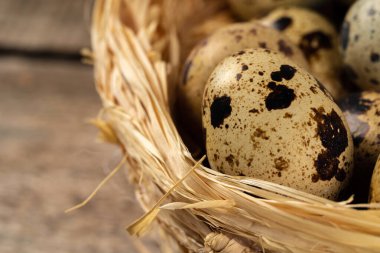 Yuvadaki bıldırcın yumurtaları ahşap masada.