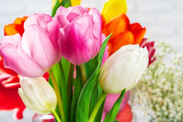 Świeże pąki tulipan wiosna przeciwko białej cegły ściany zbliżyć — Zdjęcie stockowe