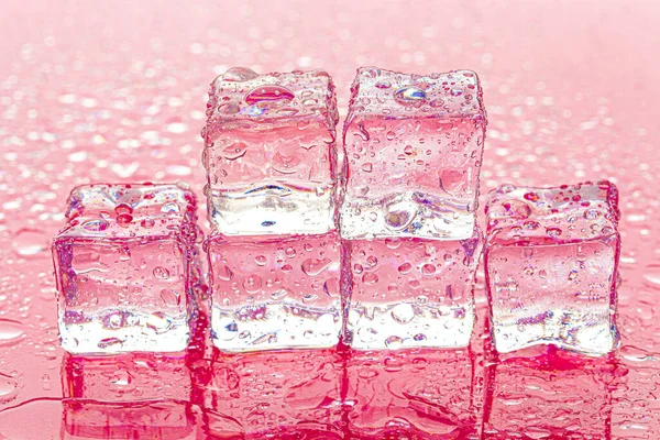 Cubos de hielo Fozen sobre fondo rosa húmedo —  Fotos de Stock