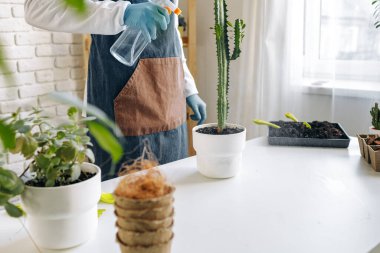 Tanımlanamayan kadın ev bitkisini yakından naklediyor..