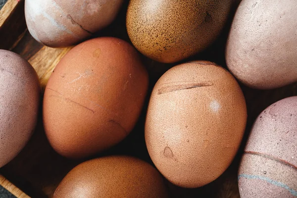 暗い背景の中で卵を産み — ストック写真
