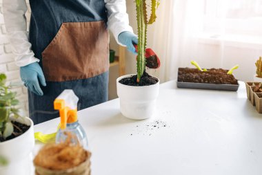 Tanımlanamayan kadın ev bitkisini yakından naklediyor..