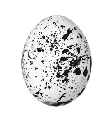 Renkli Paskalya Yumurtası beyazda izole