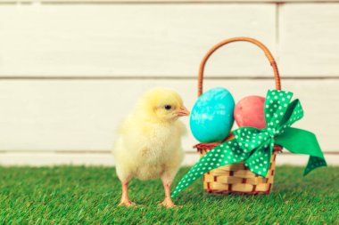 Yeşil çimlerde Paskalya yumurtası ve tavukları