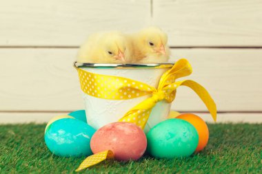 Yeşil çimlerde Paskalya yumurtası ve tavukları