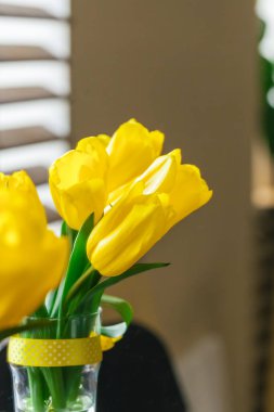 Sarı lalenin resmini kapat