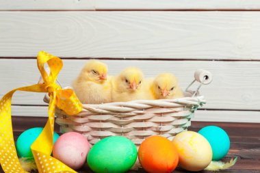 Tahta masada paskalya yumurtası taşıyan piliç.